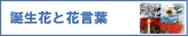Ԍt